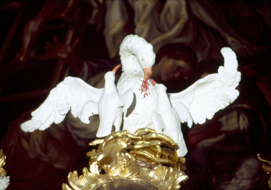 1988_Hofstetter_Die_katholische_Kirche_LinkerPelikan