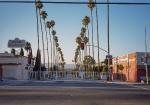 1999_Spot-(Pico_Wilton)